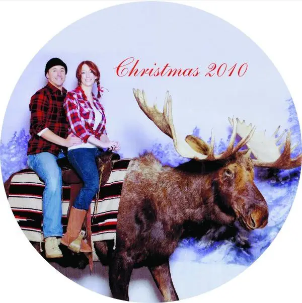 Moose Coaster